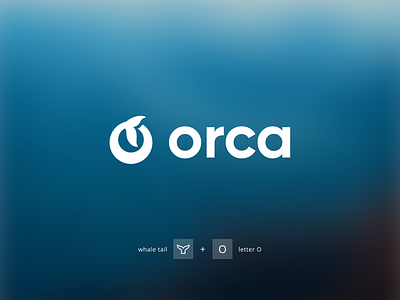 Orca Logo Design brand brand book brand design brand guidelines brand identity branding clean design golden ratio logo logo design logogram logoicon okoslam orcastudio product design