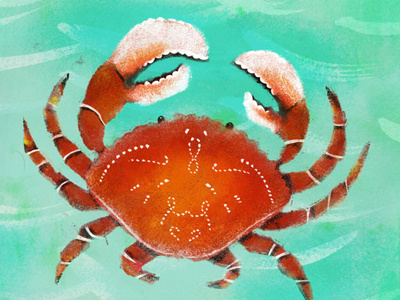 Crab crab digital illustration painting