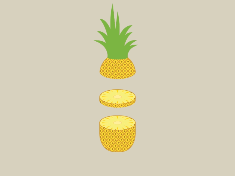 Pineapple Anatomy