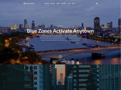 Blue Zone agency business seo travel trip webdevelopment wordpress wordpress development