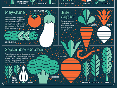 Growing Guide crop beet broccoli carrots cucumber food garlic infographic radish tomato vegetables