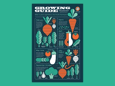 Growing Guide Infographic beet broccoli food garden gardening infographic leaves plants plants app radish tomato vegetables worm