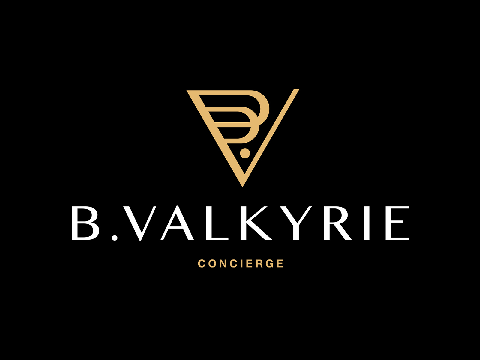 Vicki valkyrie. Валькирия логотип. Валькирия лого. Valkyrie logo.