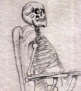 Bones bones contemplative skeleton sketch