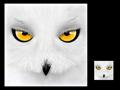 Snowy app bird fur icon ipad owl snowy twitter white