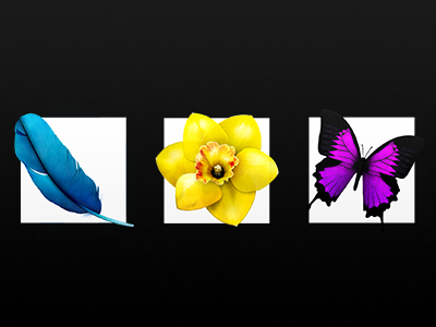 CS6 Icons butterfly cs6 feather flower icons illustrator indesign photoshop replacement