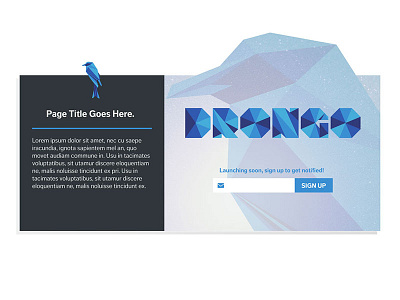 Drongo Microsite bird e commerce landing page launch microsite ui