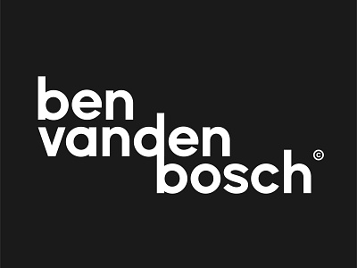 Logo 01 - BVDB art branding design graphicdesign logo