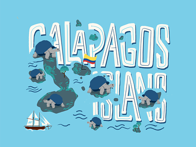 Galapagos Tortoise Illustration