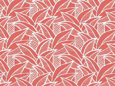 Robinson coral botanic dessin drawing forest garden illustration jungle palm palmtree pattern plant wallpaper