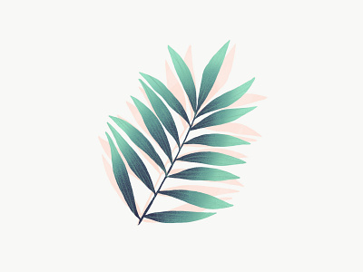 Palm botanic botanical design dessin drawing forest garden illustration jungle leaf leaves plant tree vegetal