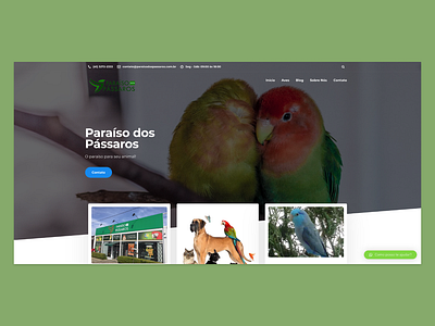 Paraíso dos Pássaros adobexd birds clean design flat landing page minimal ui web webdesign website