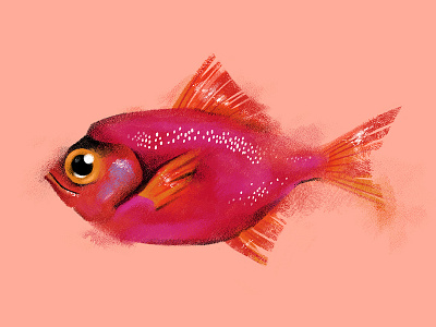 Fishy illustration pink pinkfish