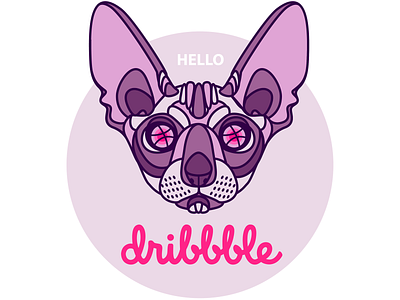 Hello Dribbble!