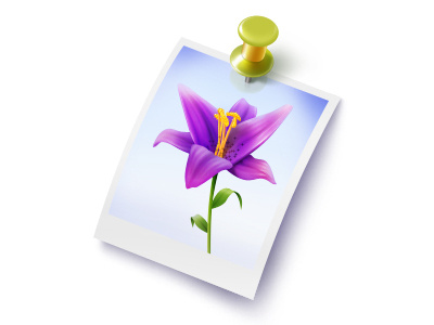 Photo Pin flower icon photo pin