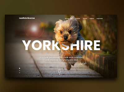 Yorkshire kennel concept cute design dog dogs figma happy hero photoshop ps responsive design ui uidesign ux website yorkshire