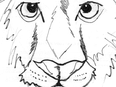 Leo Lion ink pencil preliminary drawing rough sketch
