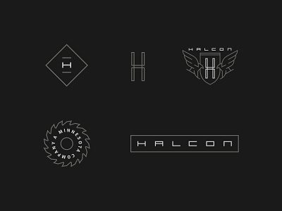 HALCON Collection badge design brand branding icon illustration logo mark vector