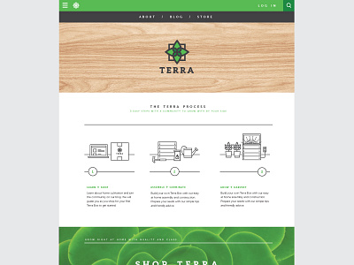 Terra Website green icon illustration layout logo plant web