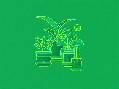 Dat Green bright cactus flower green happy illustration milwaukee natural organic plants spring vector