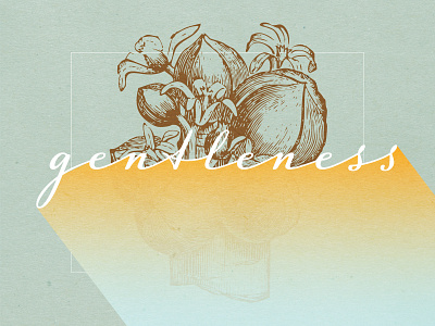 Fruits Of The Spirit - GENTLENESS christian design christian designer fruit fruit illustration gentleness graphic design illustration art scripture sketching typography