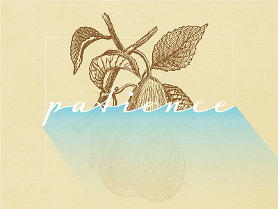 Fruits Of The Spirit - PATIENCE christian design christian designer fruit graphic design illustration scripture texture typography