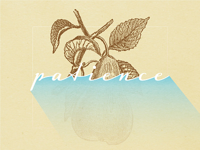 Fruits Of The Spirit - PATIENCE