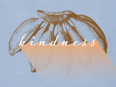 Fruits Of The Spirit - KINDNESS christian design christian designer christianity fruit graphic design illustration kindness