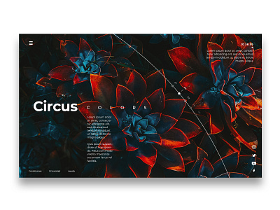 Circus Colors | Landing Page app clean clean ui concepts idea landing page minimalism minimalist page design simple spanish ui ui design uidesign uiux user interaction user interface website