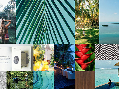Mood Board // Parmelee Key brand development brand development agency miami brand experience brand identity branding agency miami inspiration island mood board ocean palm frond tropical turquoise