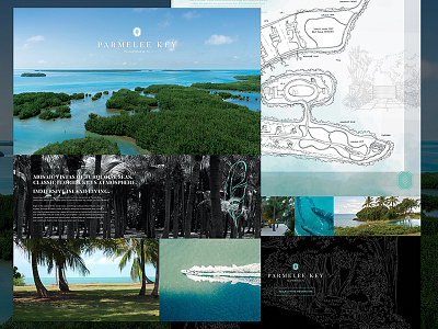 Website Design // Parmelee Key digital interactive island responsive tropical web design web development website website design website design fort lauderdale website design miami website development