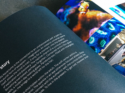 Brand Book // Biota Aquariums brand book brand development brand experience brand identity brand story brand strategy branded experience branding agency clown fish creative branding agency marine life storytelling