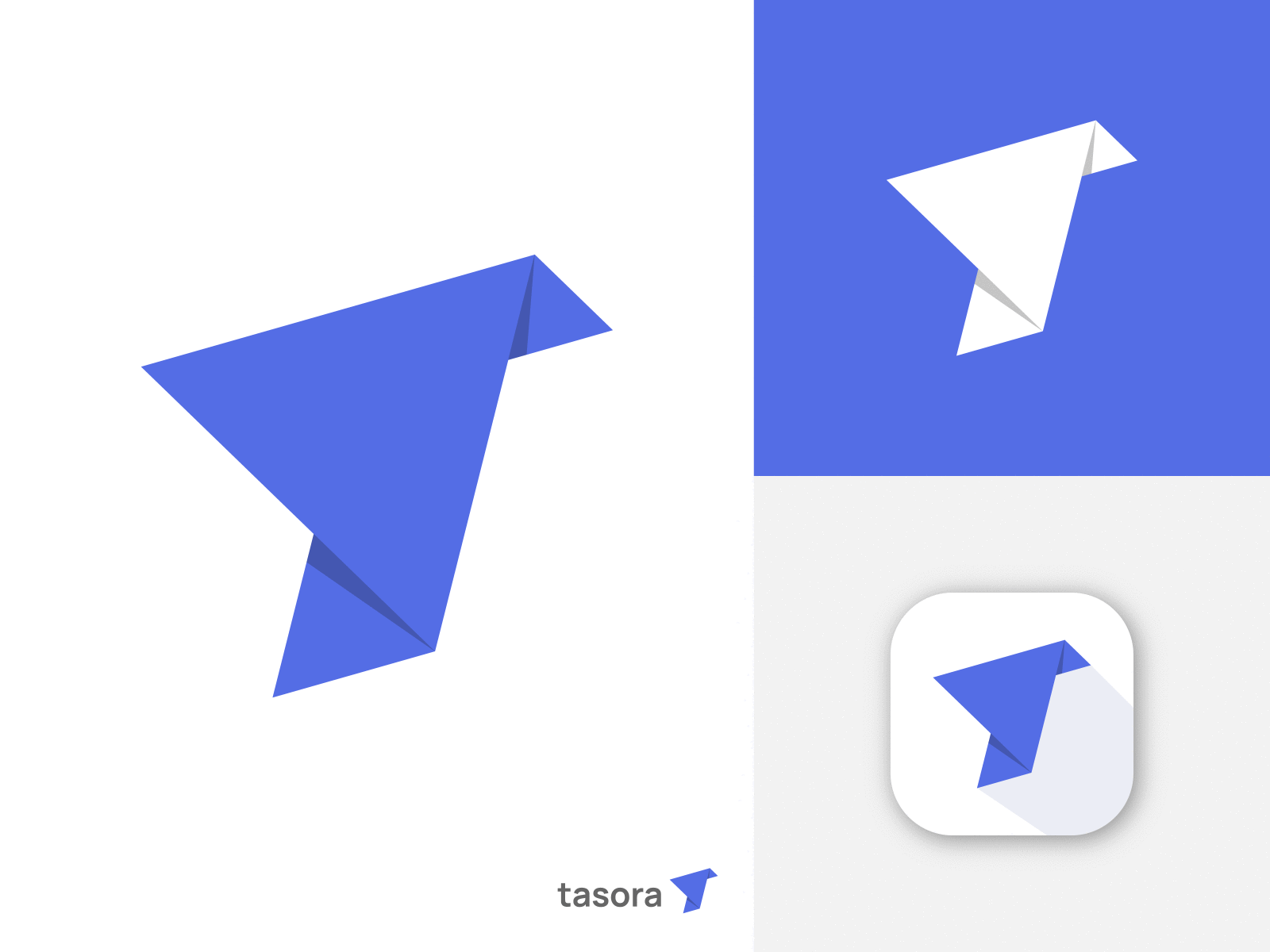 Tasora Logo Design