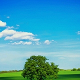 Rizky Muhamad Asy`ad