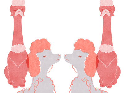 Poodles illustration