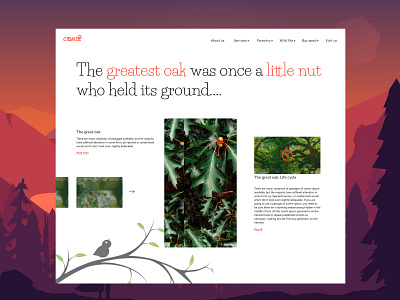 The Great Oak Forest 2021 clean concept desktop forest homepage redesign redesign challenge ux ux design webdesign xd design