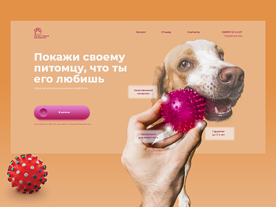 Online store for pets webdesign website ui ux