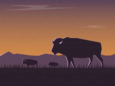 Bison bison buffalo dusk illustration illustration art illustration digital illustrations plains seattle