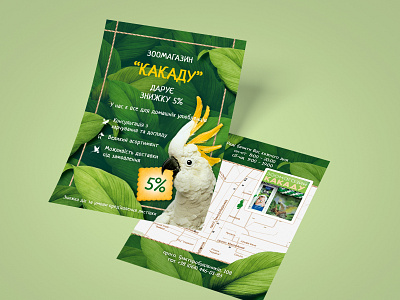 Pet Store Flyer design grafic parrot photoshop seal