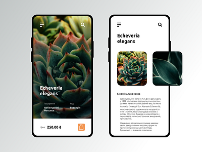 Succulents concept mobile ui ux design