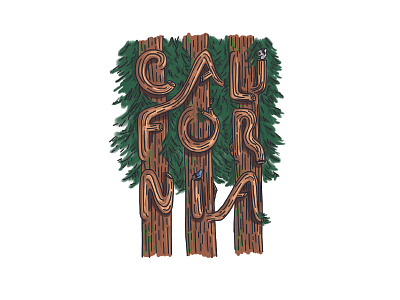 California Redwoods art illustration ipad redwoods