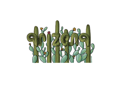 Arizona arizona art cactus design illustration ipad procreate red fir studio red fir studio sticker