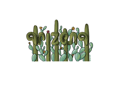 Arizona arizona art cactus design illustration ipad procreate red fir studio red fir studio sticker