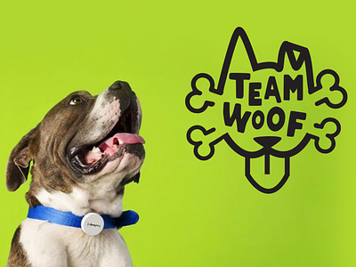 Team woof logo branding cute design dog dogs logo