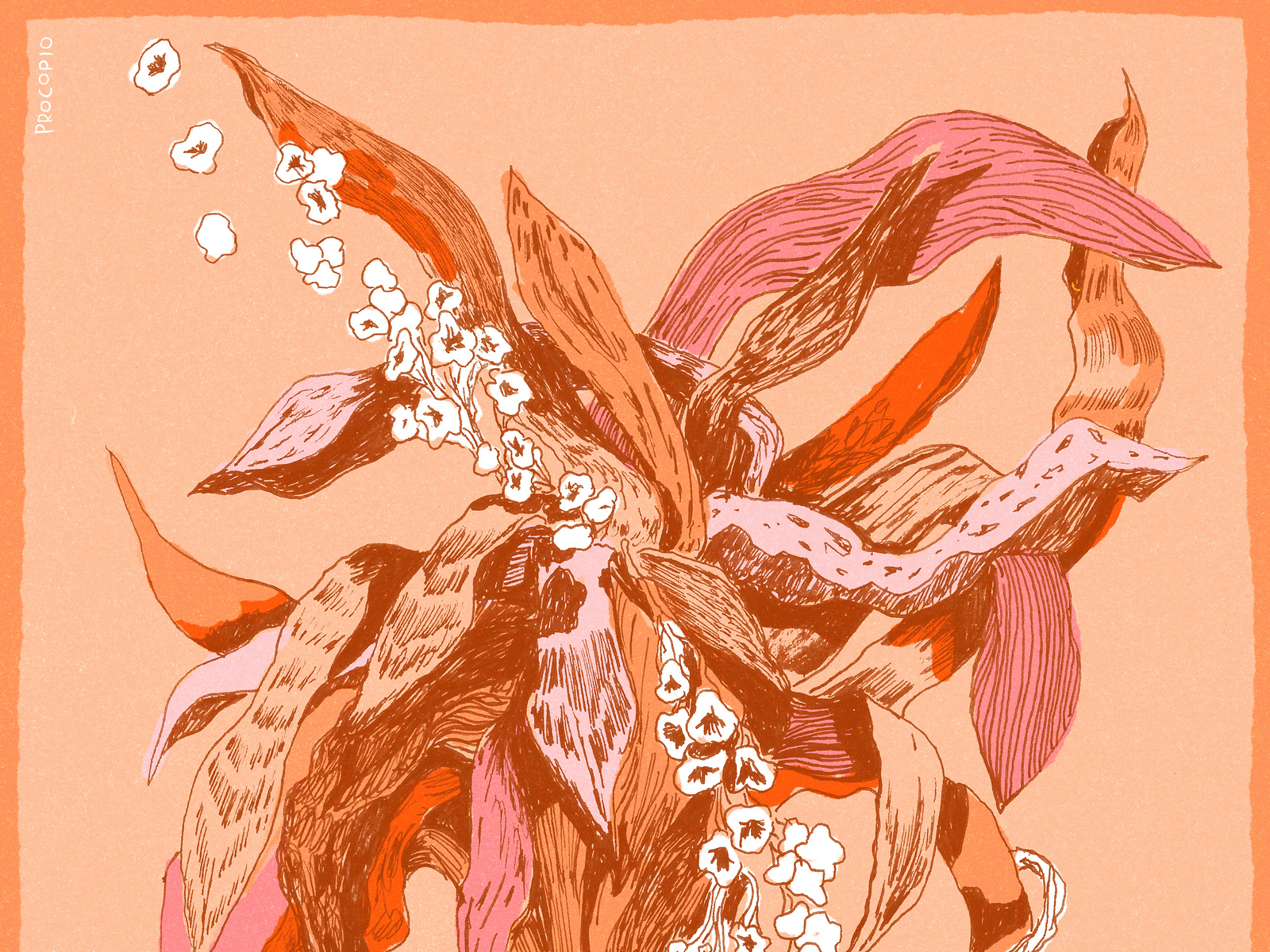 falling-flowers-by-stephen-procopio-on-dribbble