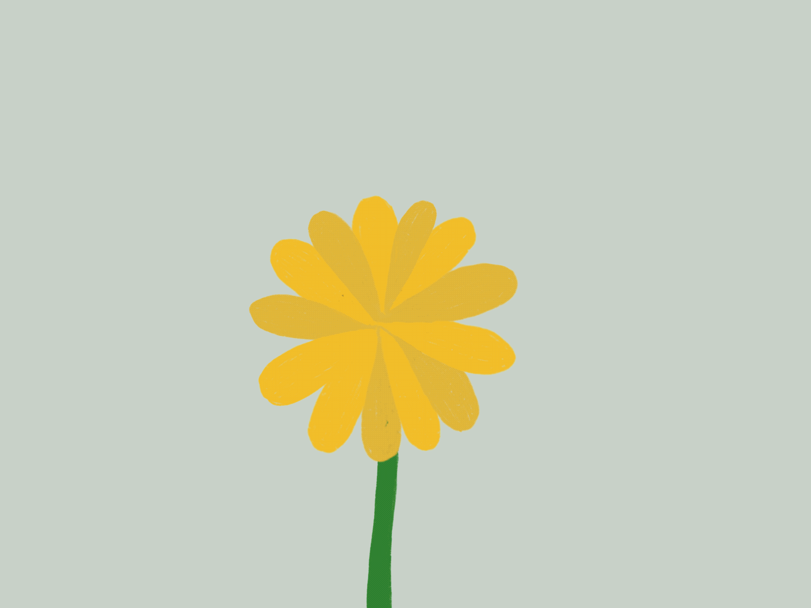 Summer Days animation design firstofsummer graphicdesign hellosummer illustration motion design procreate summer sunflower sunny sunshine