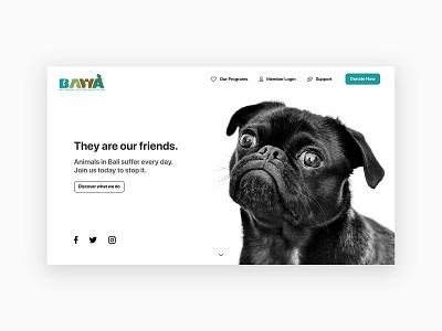 Landing Page Concept: BAWA