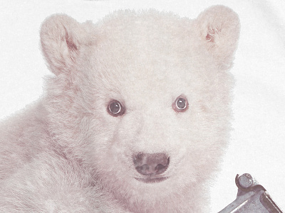 Cuboom grenade polar bear