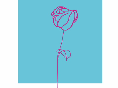 Rose draw flatillustration illustration minimalism vector