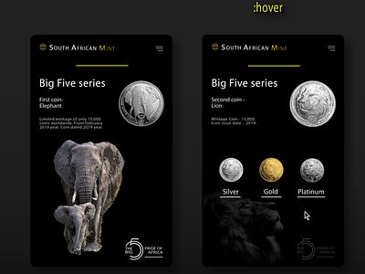 Coins web project cards design css design product cards ui ux web